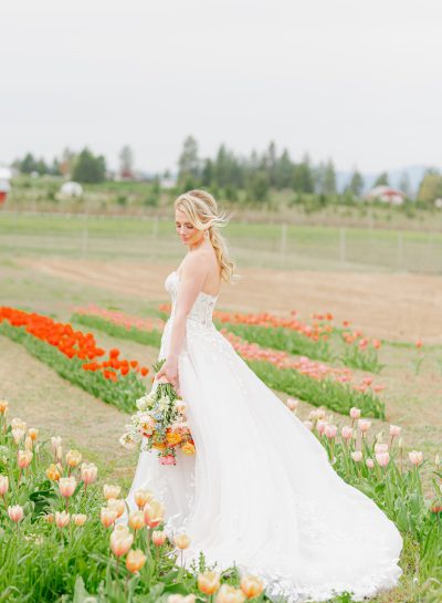 Spring Dream